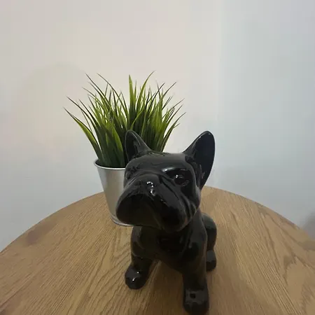 Pura Vida Appartamento *